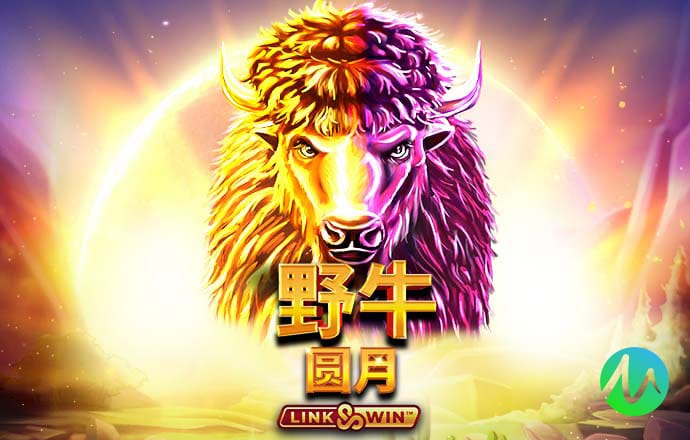 新黄金城xhjc